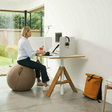 ergonomische-zitbal-thuiskantoor